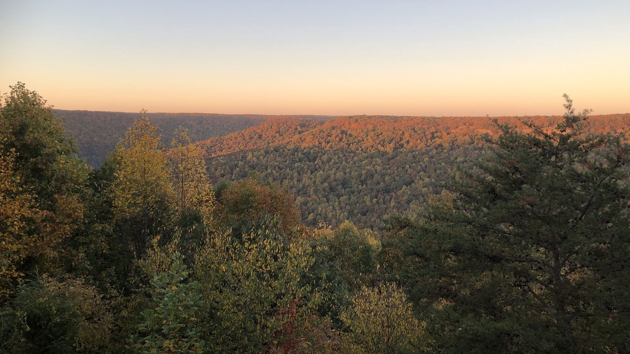 Photo of Others in Monteagle