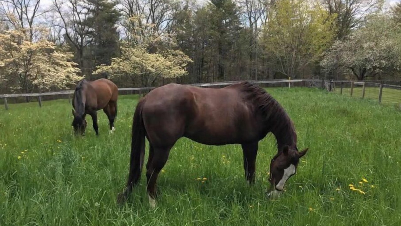 Photo of Others in Maple Hill
