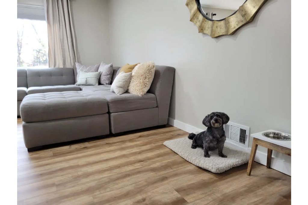 Photo of Livingroom in Alta Vista Area