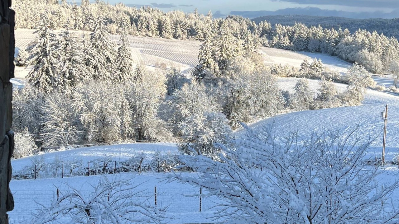 Photo of Others in Newberg