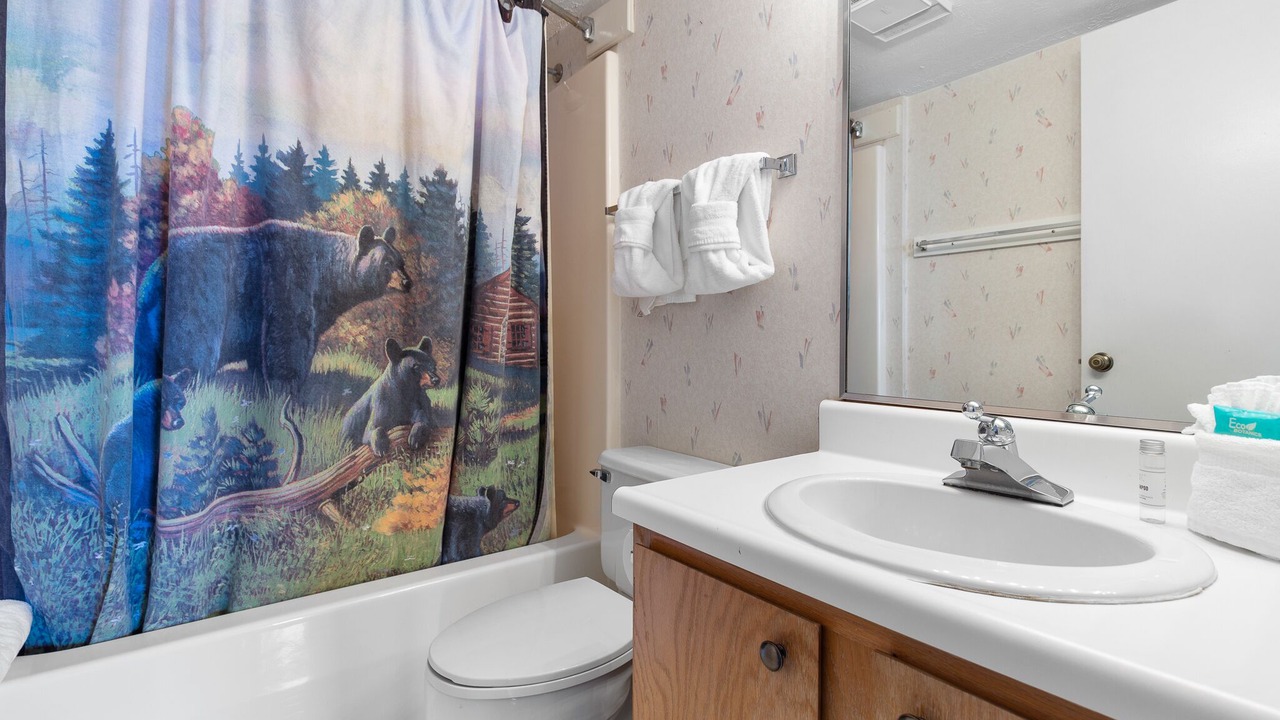 Photo of Bathroom in Gatlinburg - Pigeon Forge