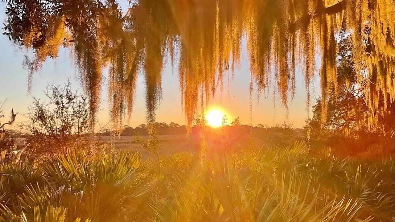 Photo of Others in St. Simons Island