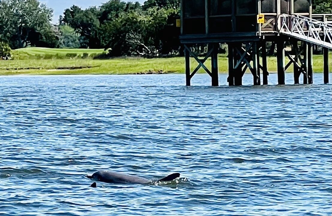 Photo of Others in St. Simons Island