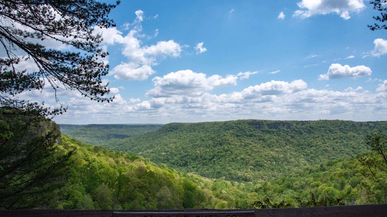 Photo of Outdoor in Beersheba Springs