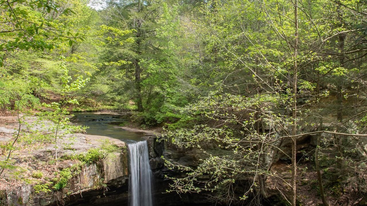 Photo of Outdoor in Beersheba Springs