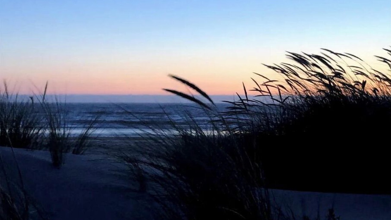 Photo of Others in Tillamook