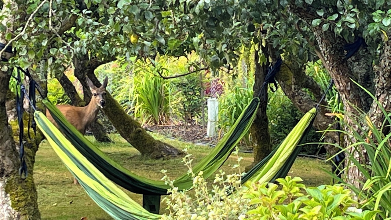 Photo of Outdoor in Tillamook