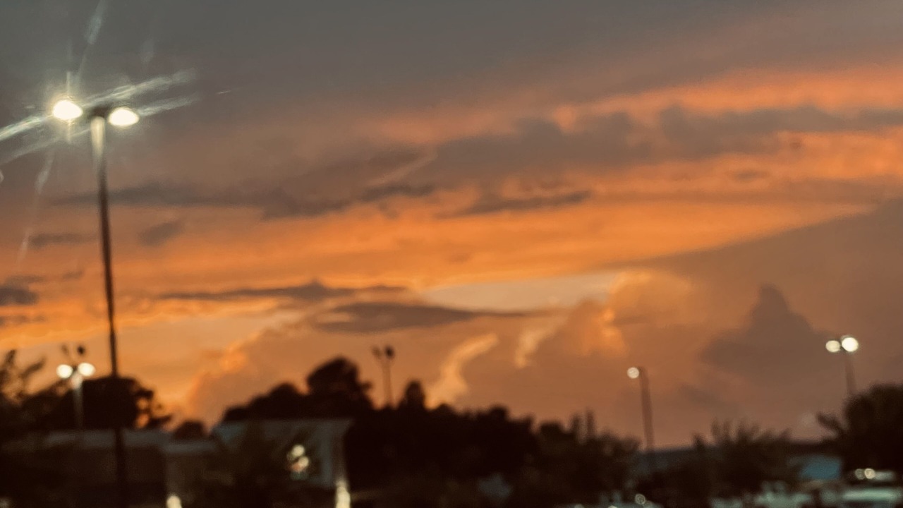 Photo of Outdoor in Bellamy