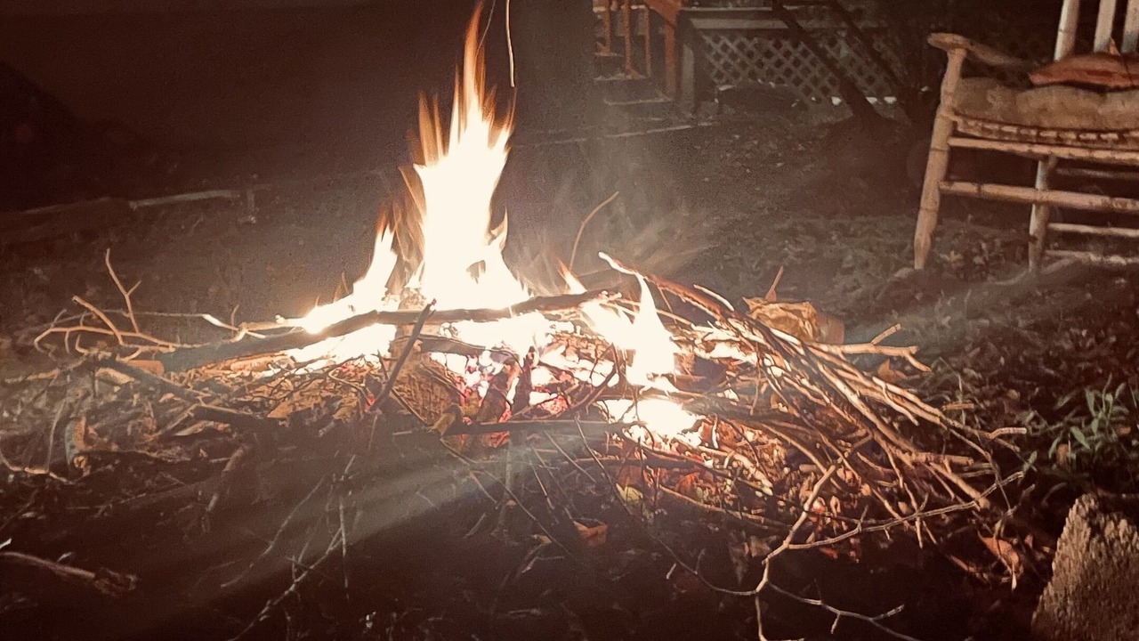 Photo of Outdoor in Bellamy