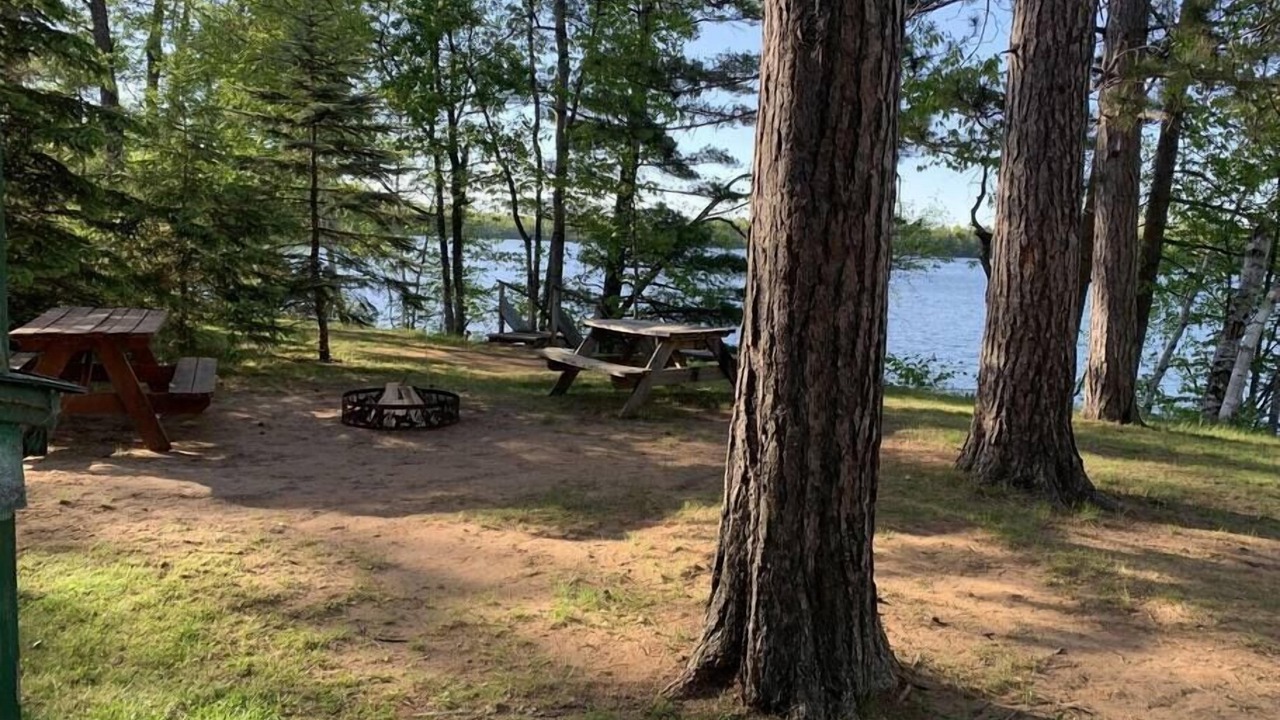 Photo of Others in Arbor Vitae