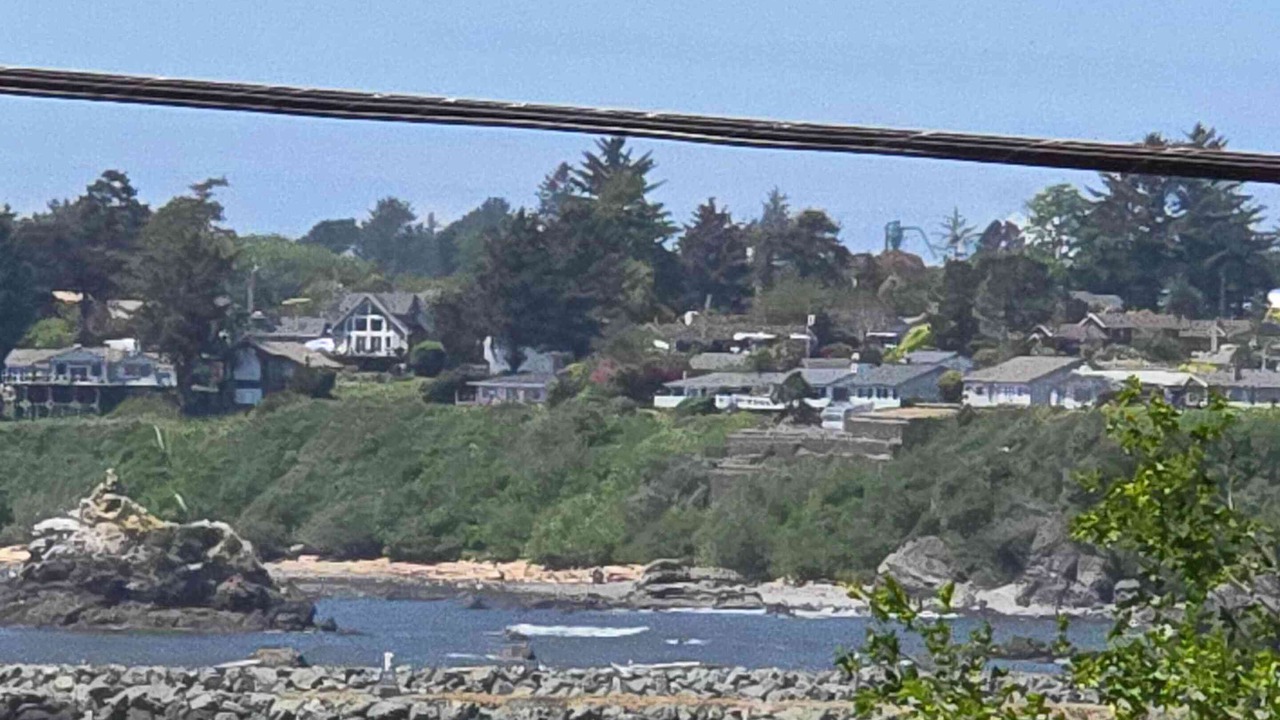 Photo of Others in Harbor