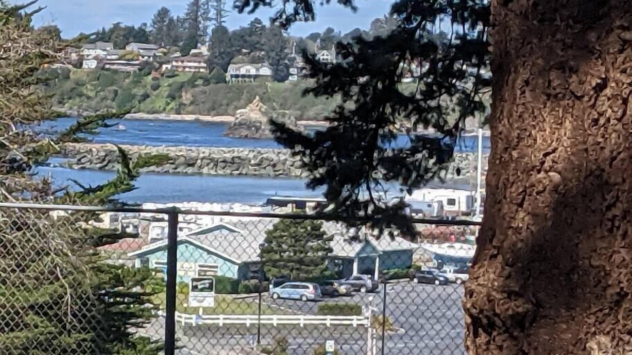 Photo of Others in Harbor