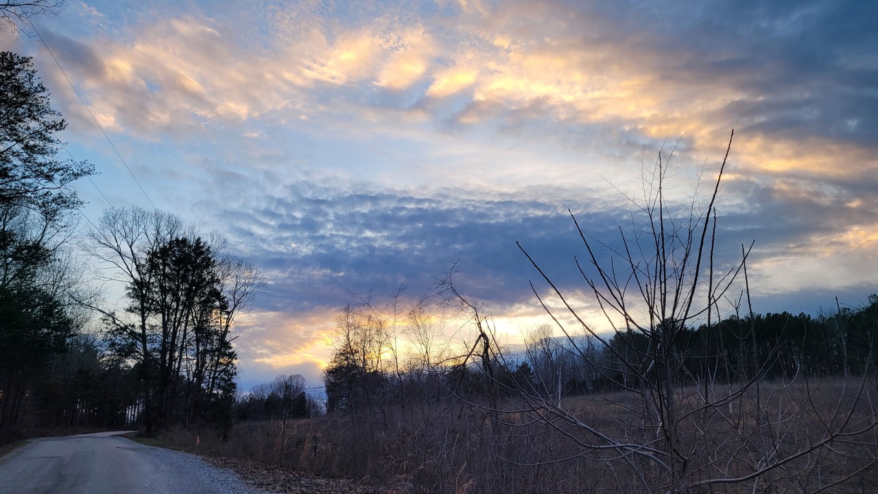 Photo of Outdoor in Olivehill