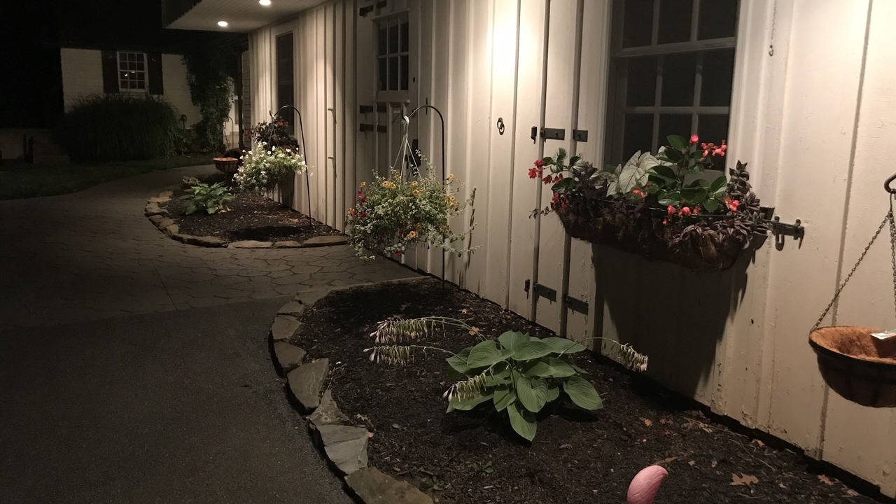 Photo of Outdoor in Refton