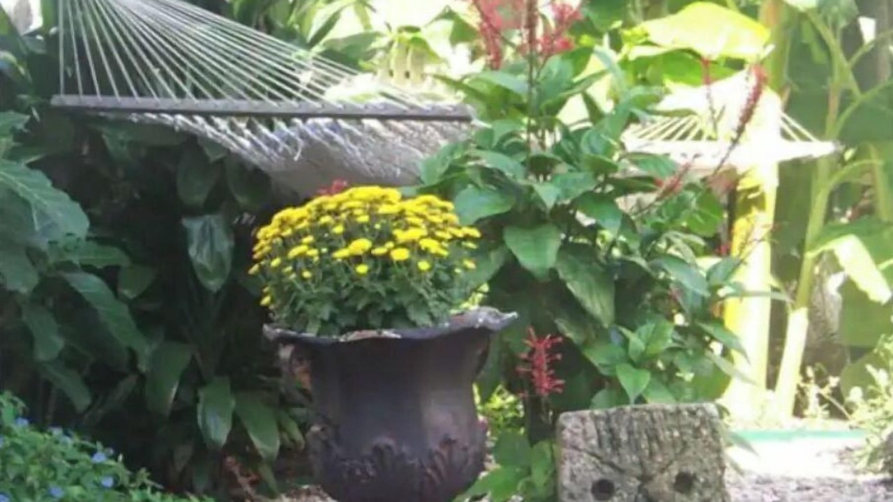 Photo of Outdoor in San Jacinto