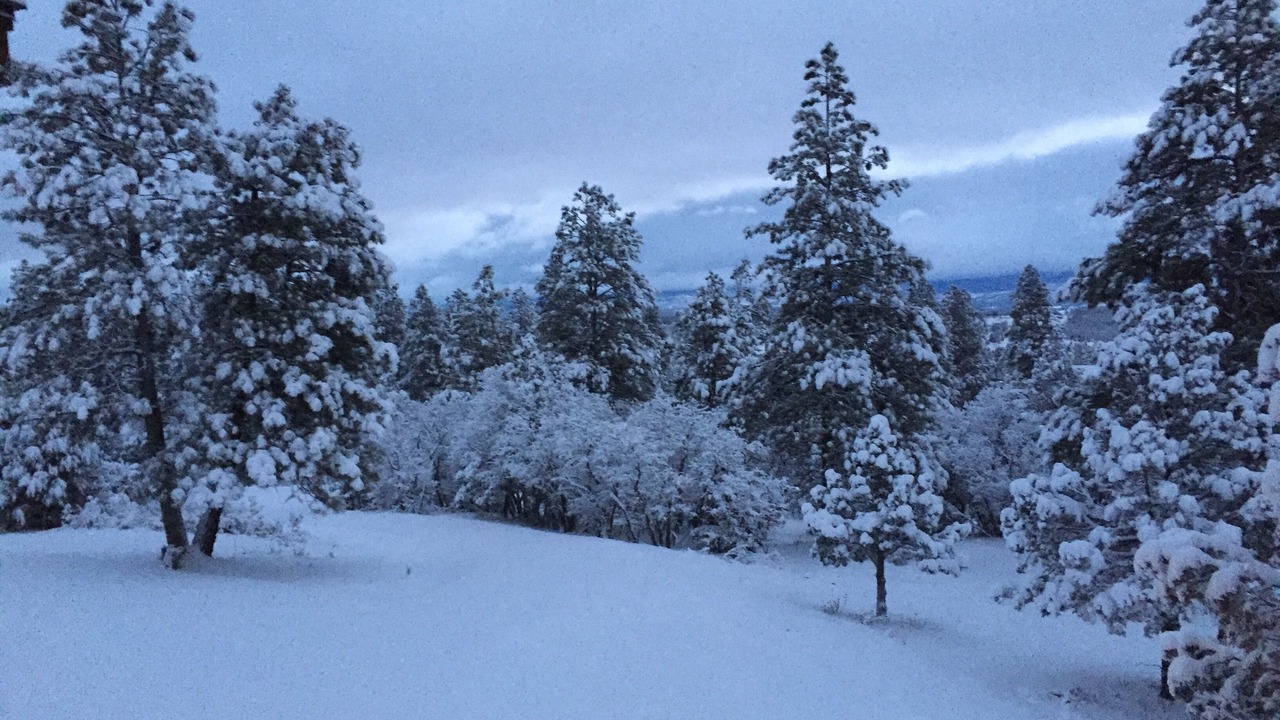 Photo of Others in Timber Ridge Ranch