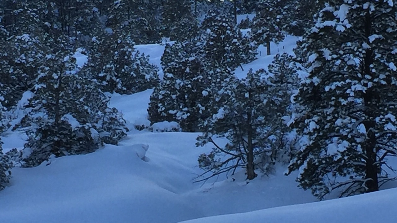 Photo of Others in Timber Ridge Ranch