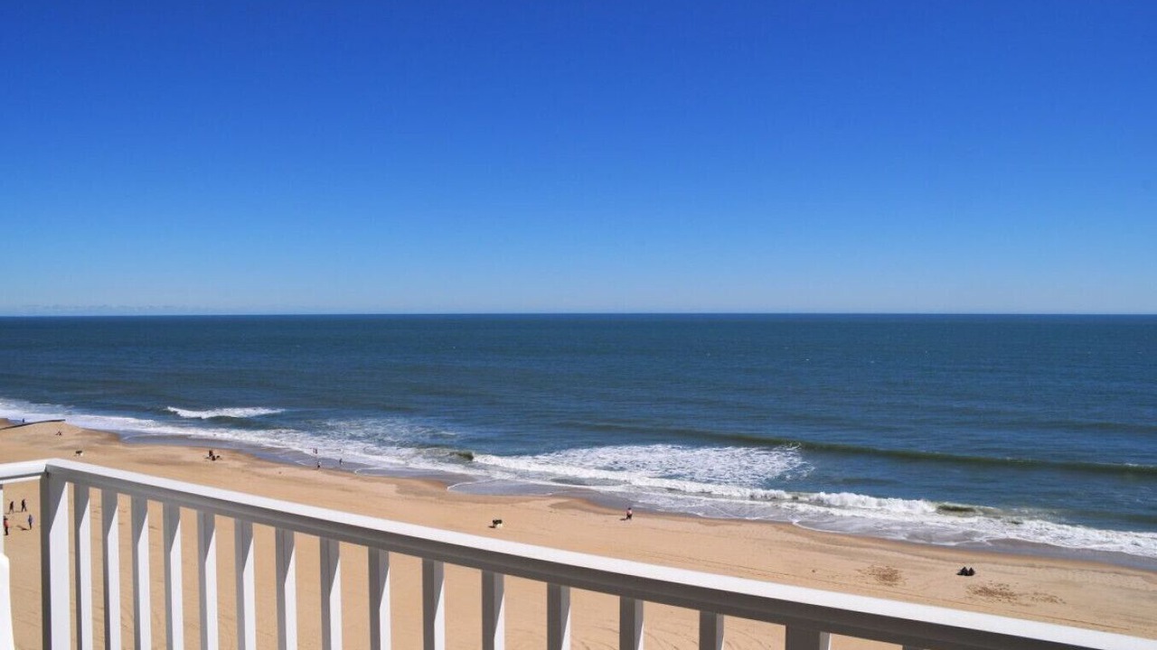 Photo of Others in Northeast Virginia Beach