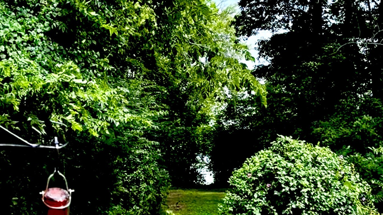 Photo of Outdoor in Scottsville