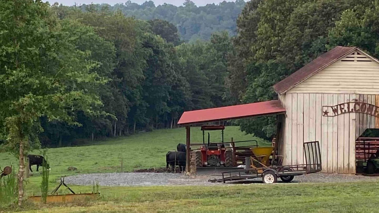 Photo of Outdoor in Dobson