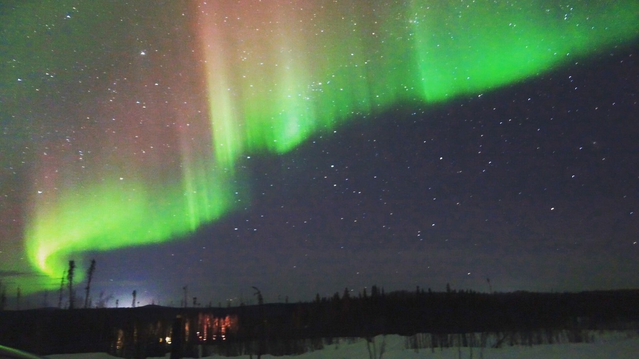 Photo of Others in Fairbanks