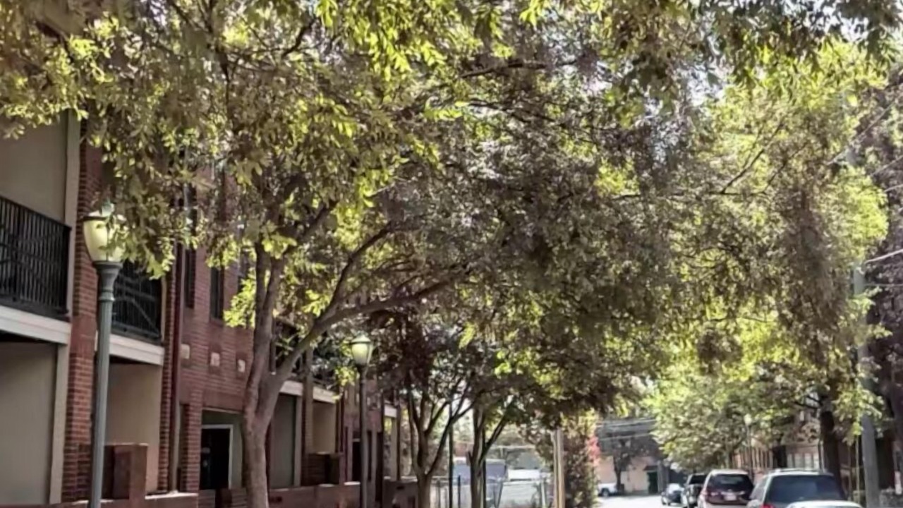Photo of Others in Castleberry Hill