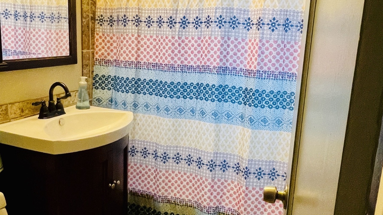 Photo of Bathroom in Lamar Heights Area