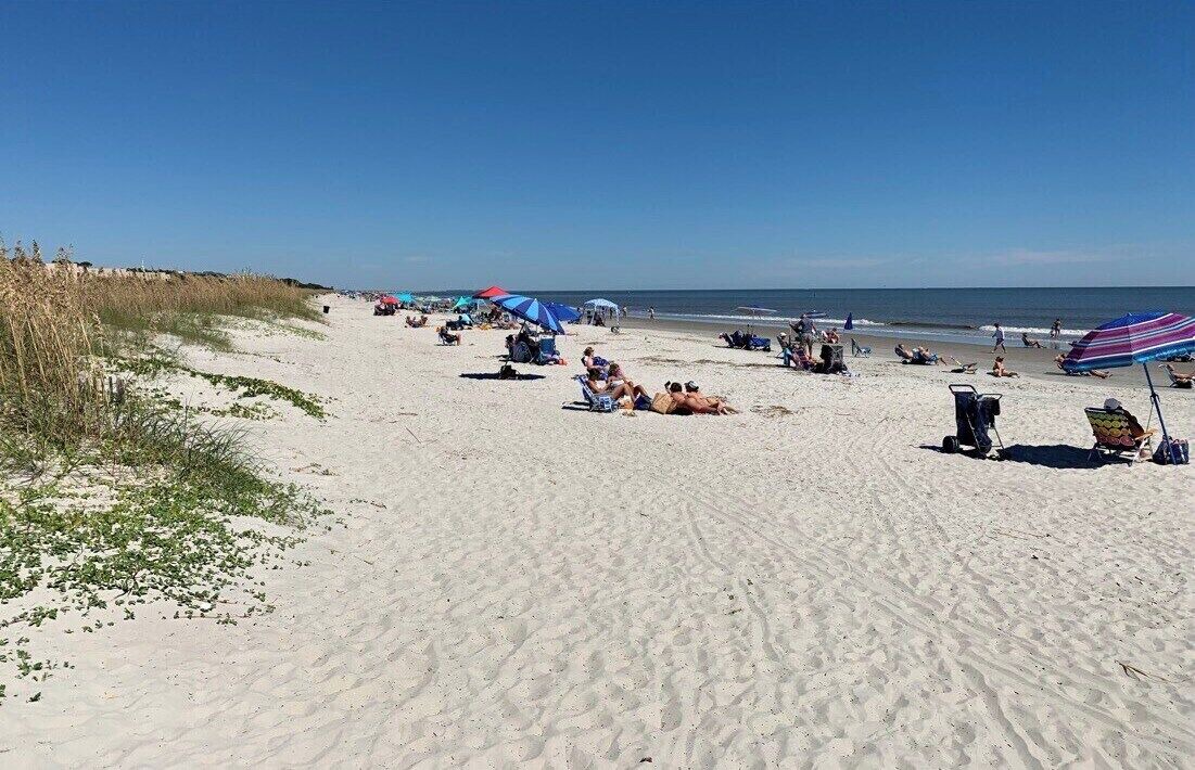Photo of Others in Folly Field