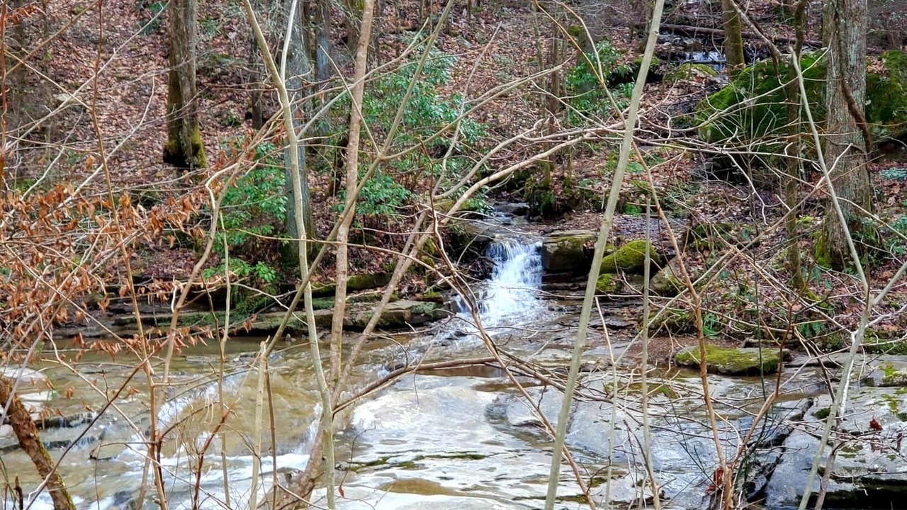 Photo of Others in Elgin