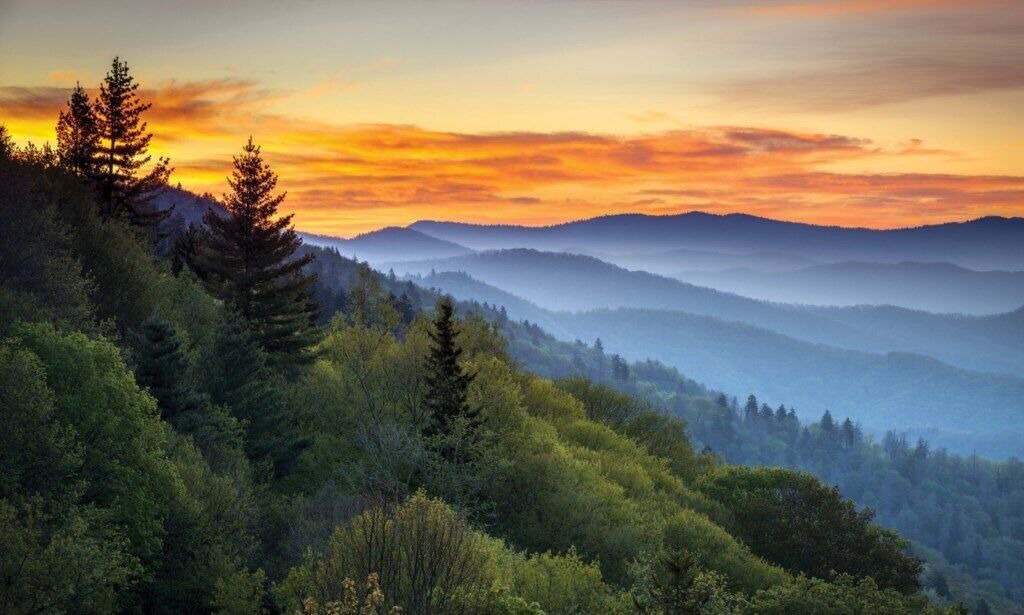Photo of Others in Sevierville
