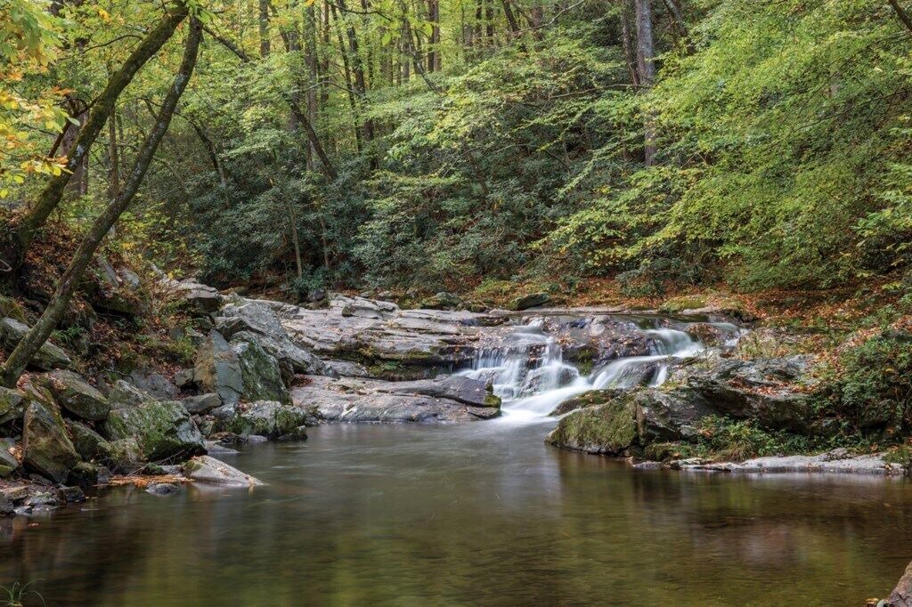 Photo of Others in Sevierville