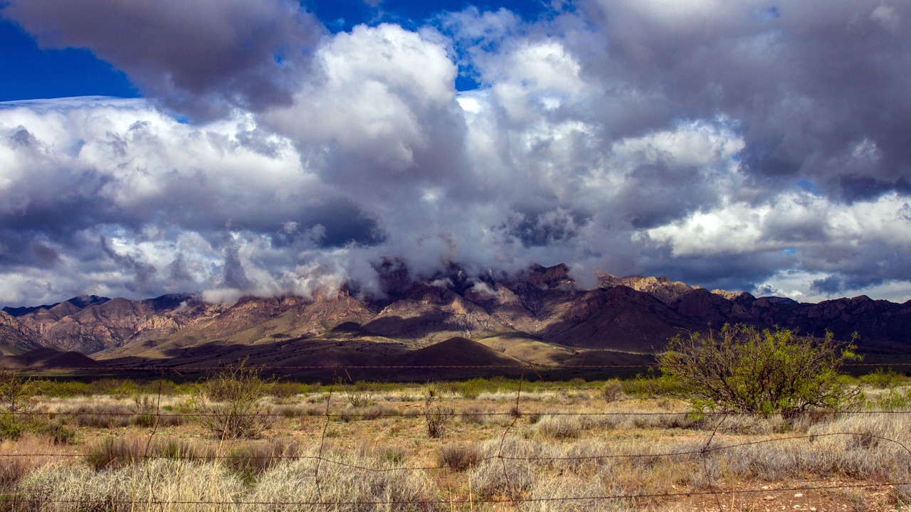 Photo of Others in Animas