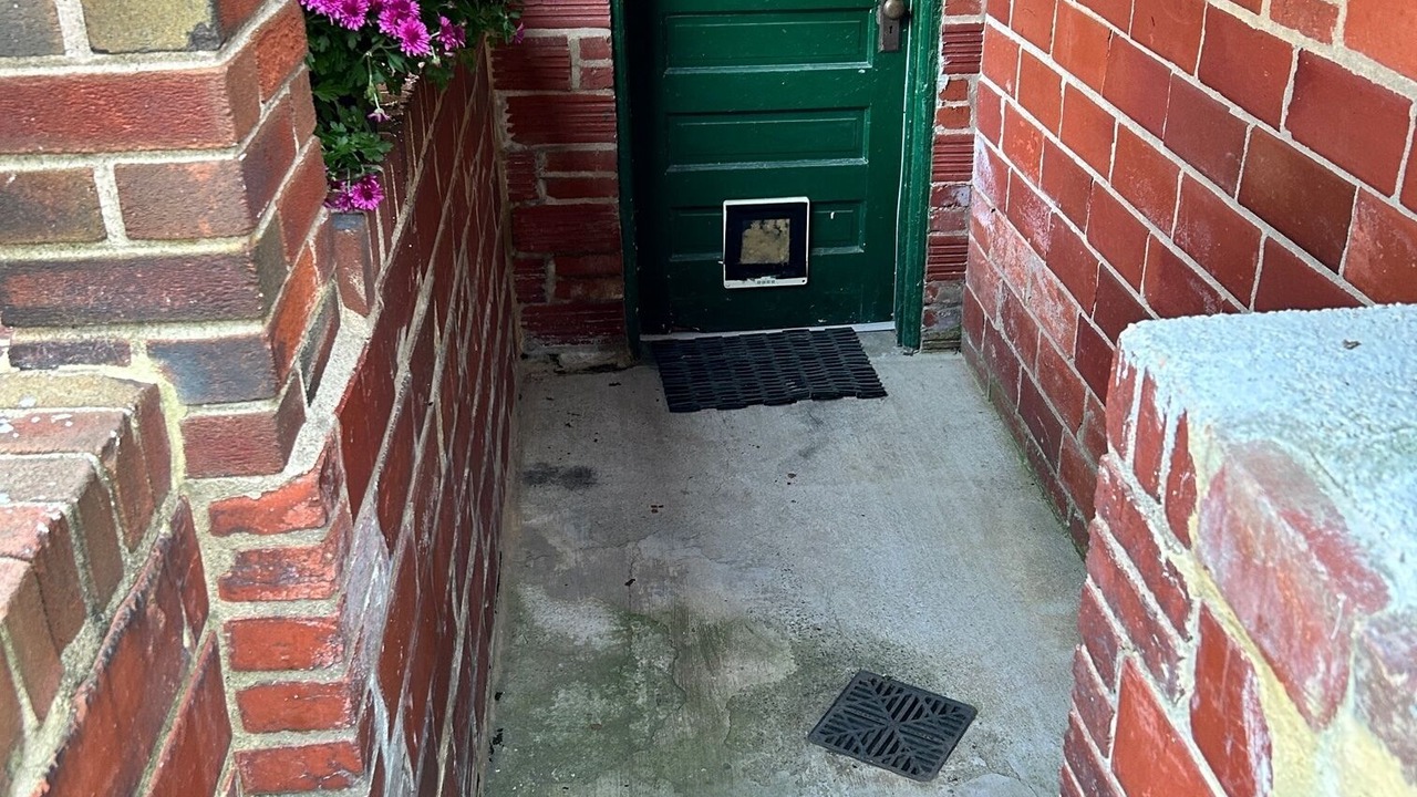 Photo of Outdoor in Silver Spring