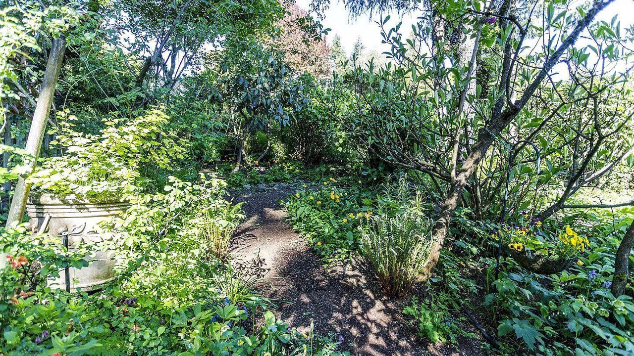 Photo of Outdoor in Portland