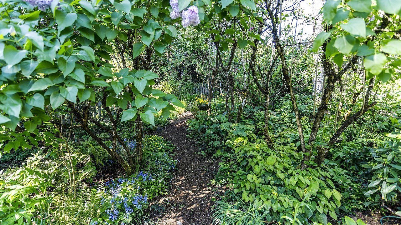 Photo of Outdoor in Portland