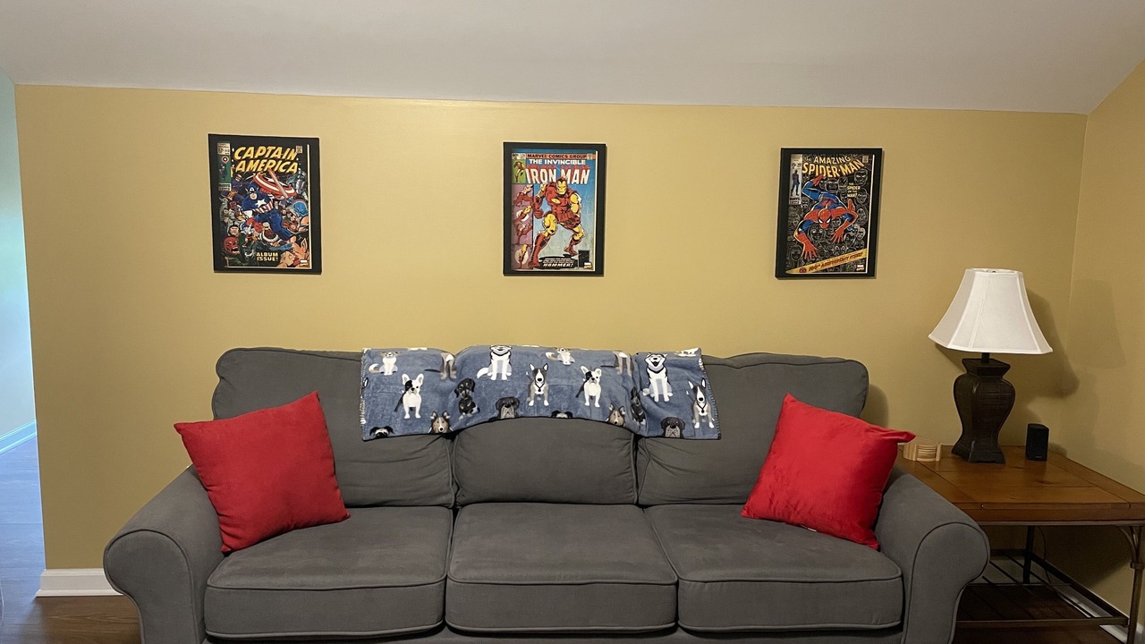Photo of Livingroom in Berkeley Springs
