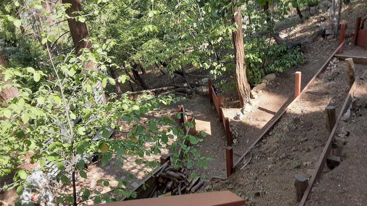 Photo of Outdoor in Crestline