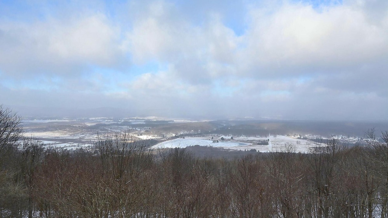 Photo of Others in Old Timberline