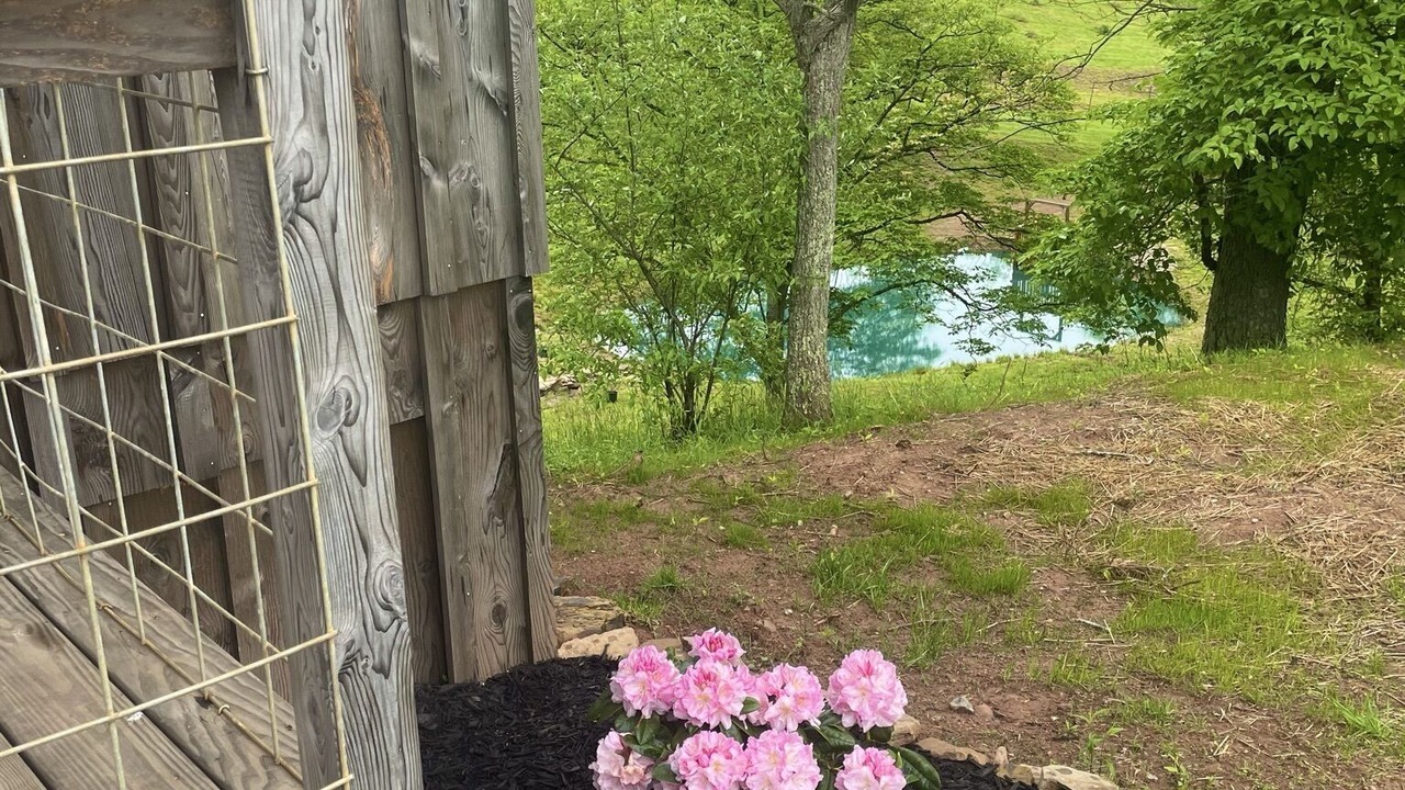 Photo of Outdoor in Weston