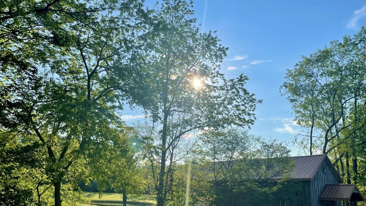 Photo of Outdoor in Weston
