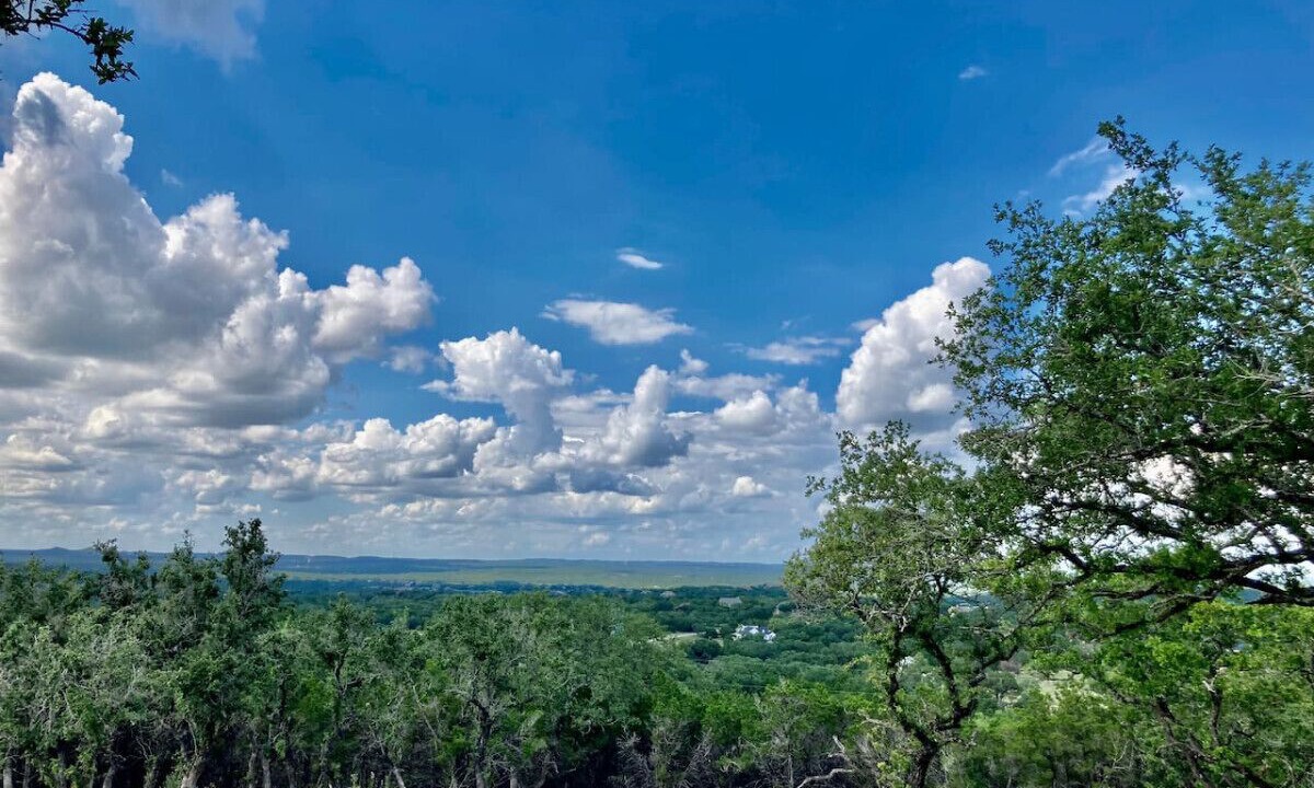 Photo of Others in Spring Branch