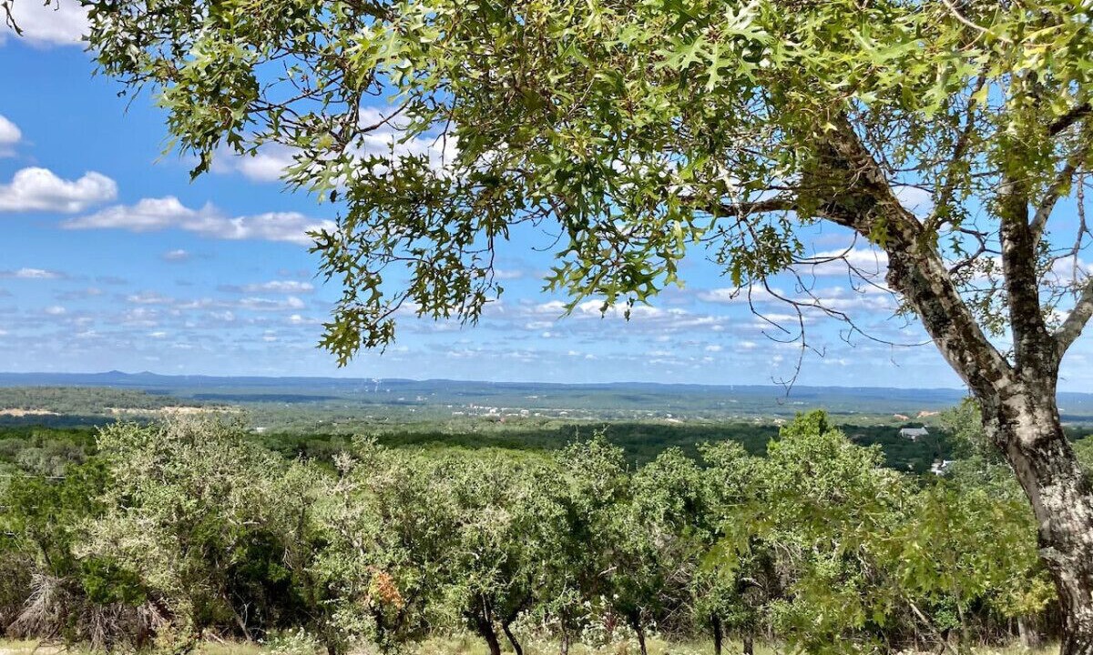 Photo of Others in Spring Branch