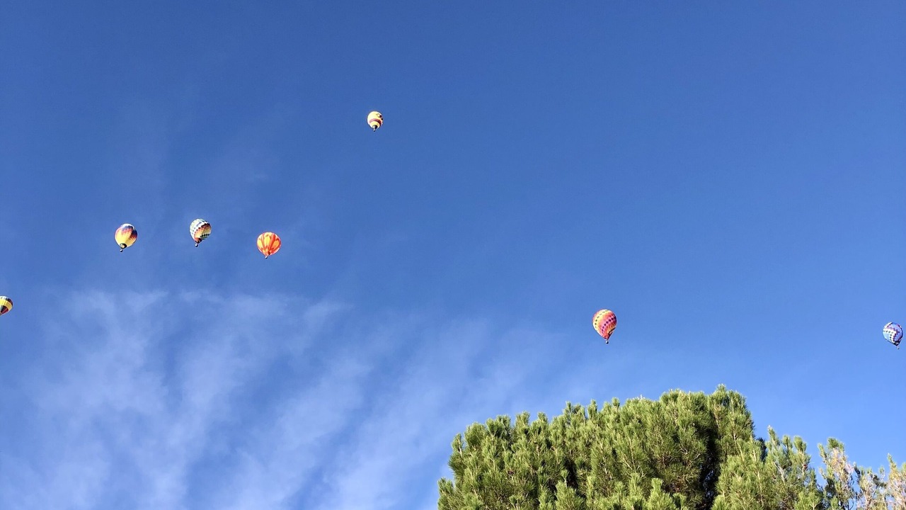 Photo of Others in Albuquerque