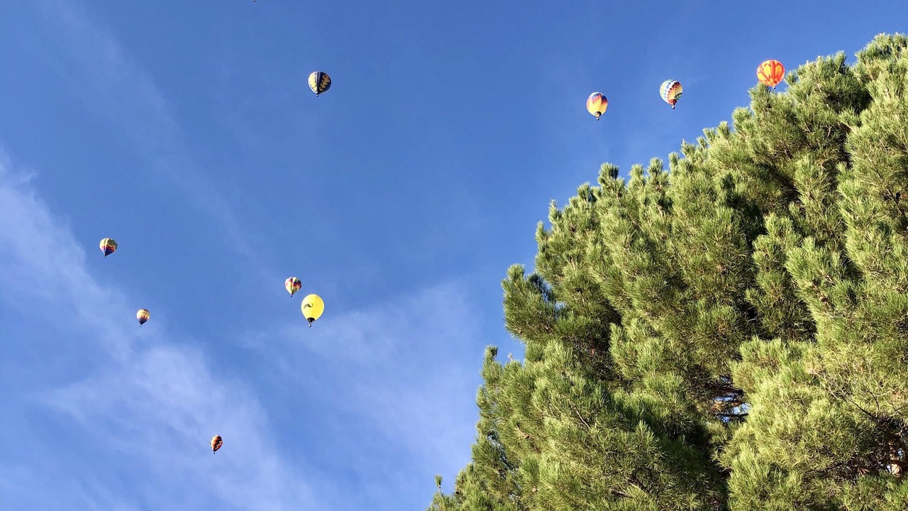 Photo of Others in Albuquerque