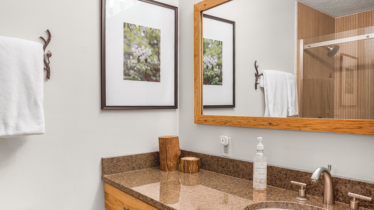 Photo of Bathroom in Treeloft