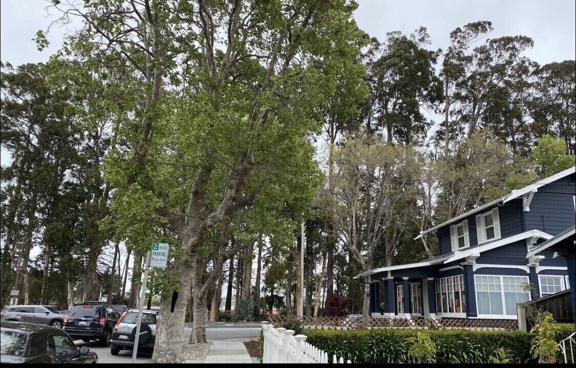 Photo of Outdoor in Burlingame