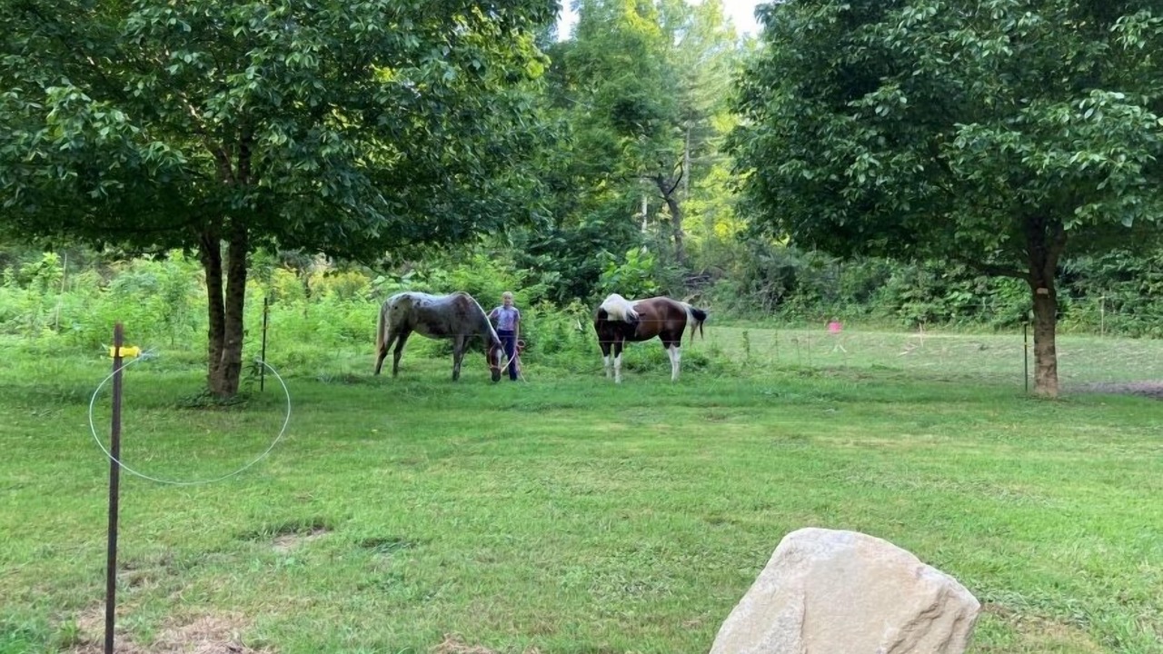 Photo of Others in Robbinsville