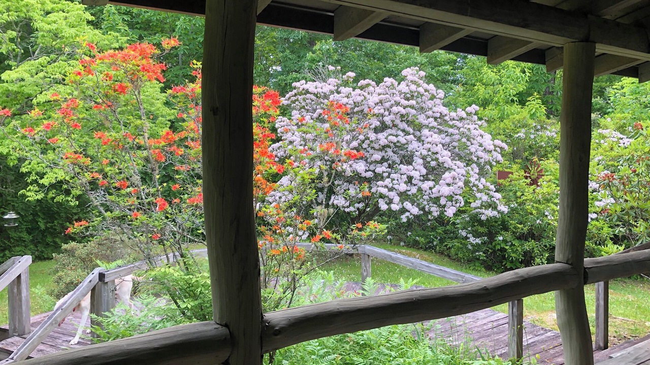 Photo of Outdoor in Cedar Mountain