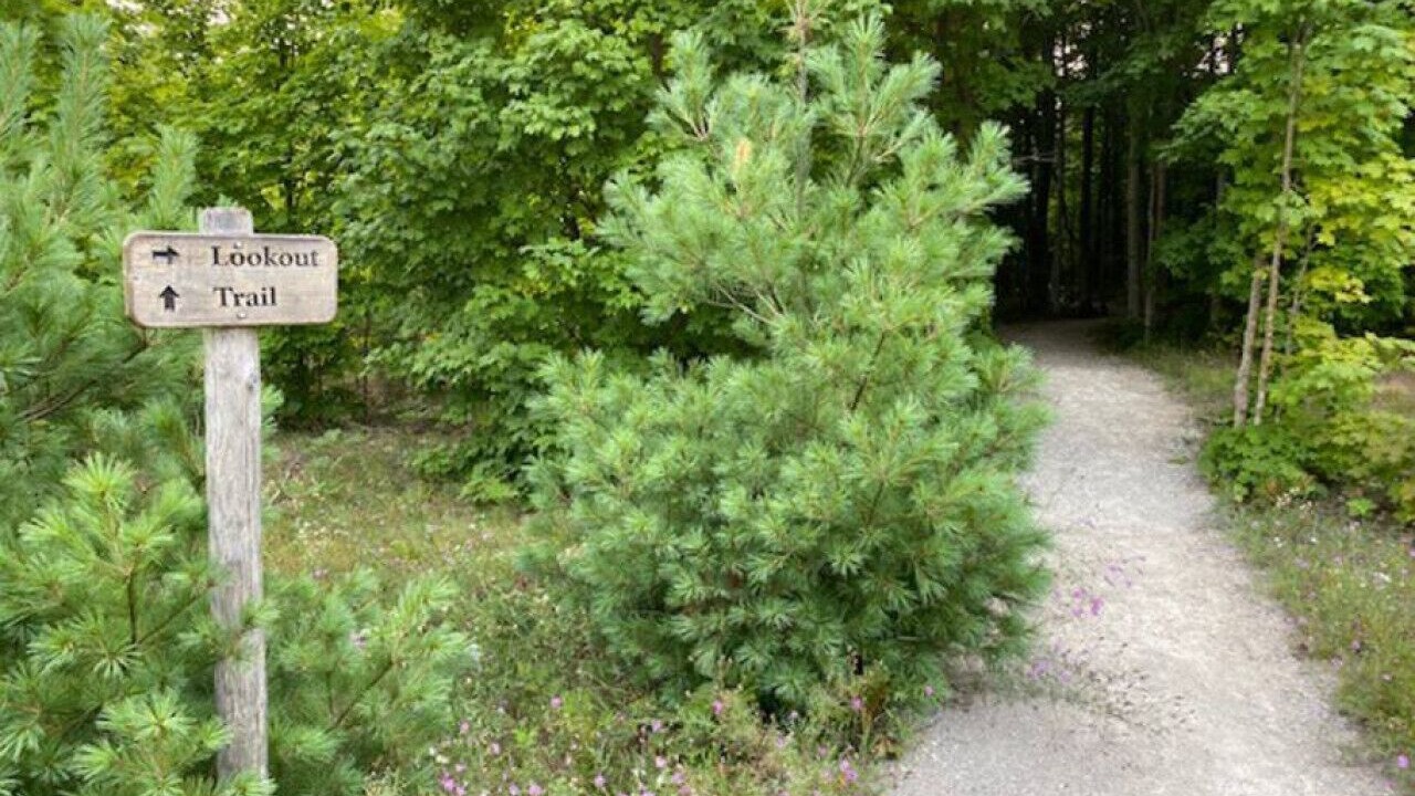Photo of Outdoor in Maple City