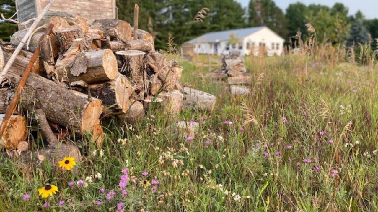 Photo of Outdoor in Maple City